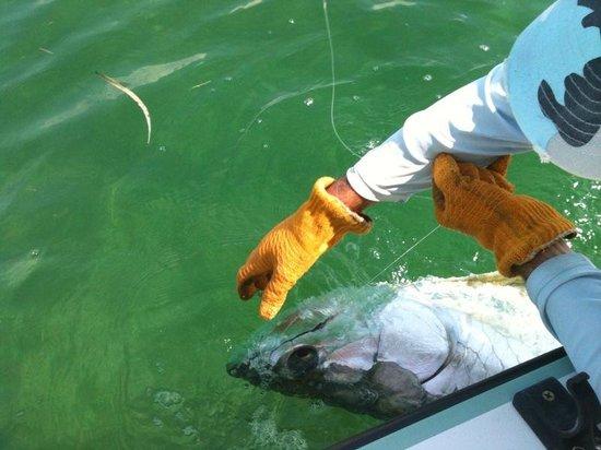 Sight Fish Charters