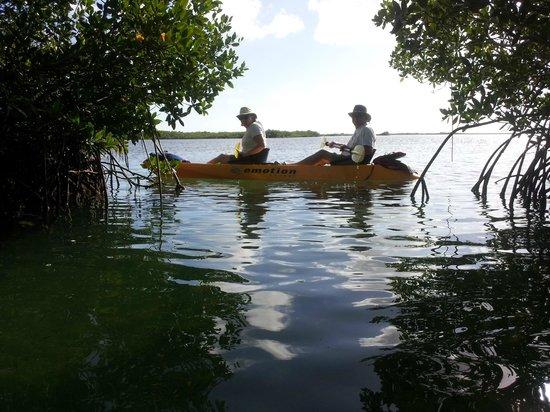 Florida Keys Kayaks and Eco Tours
