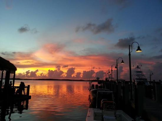 Easy Adventures Boat Tours