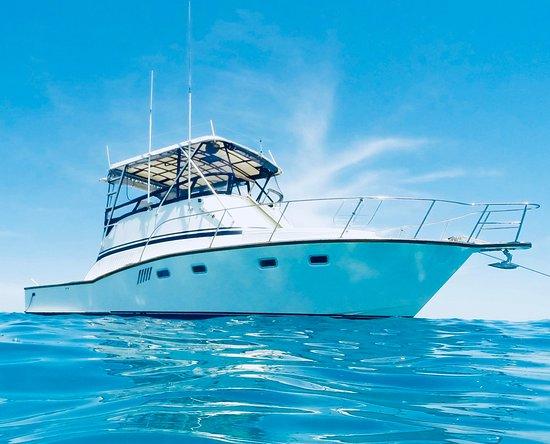 Sea Monkey Ocean Adventures