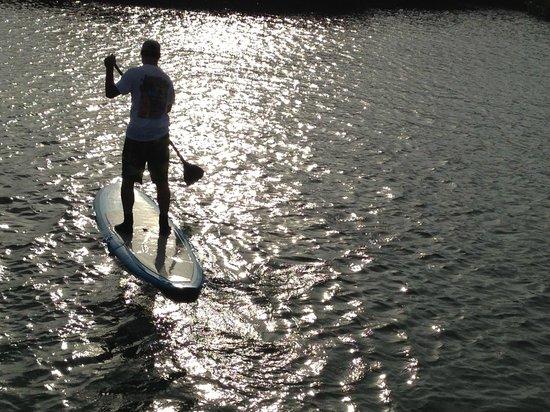 Escape Paddleboard Adventures