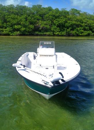 Fin Hunter Charters