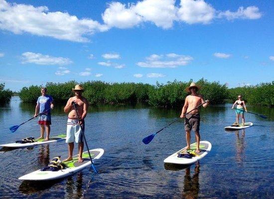 PaddleJoy Paddleboard Adventures
