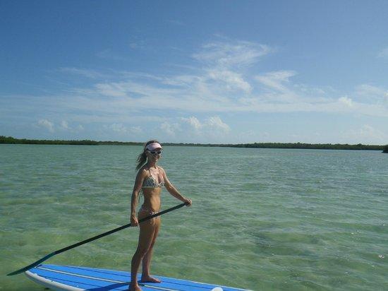 Paddle Board The Keys