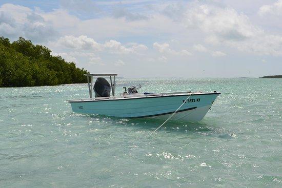 Ebb and Flow Charters