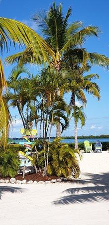 Ecotour the Keys