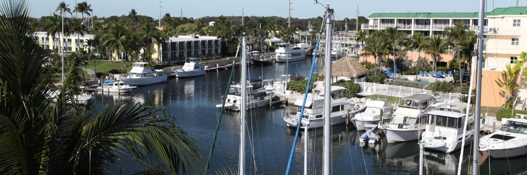 Blue Fin Rock Harbor Marina