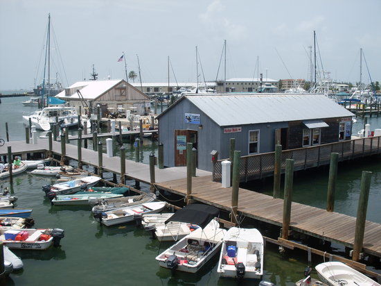 Turtle Cannery Museum