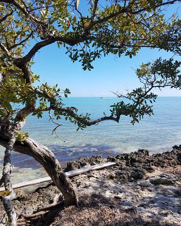 Lignumvitae Key Botanical State Park